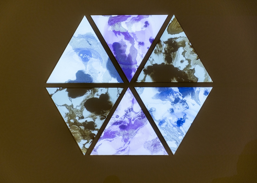 Linh My Truong, Body Talk, 2024, Cotton, wood, felt, and electronics